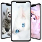 Logo of Cute Cat Wallpaper android Application 