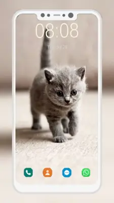 Cute Cat Wallpaper android App screenshot 1