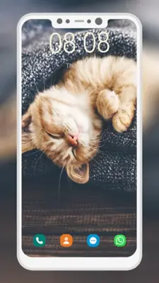 Cute Cat Wallpaper android App screenshot 2