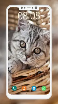 Cute Cat Wallpaper android App screenshot 3