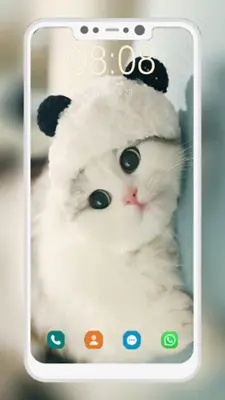 Cute Cat Wallpaper android App screenshot 4