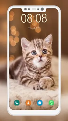 Cute Cat Wallpaper android App screenshot 5