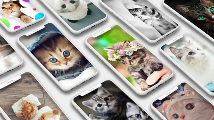 Cute Cat Wallpaper android App screenshot 6